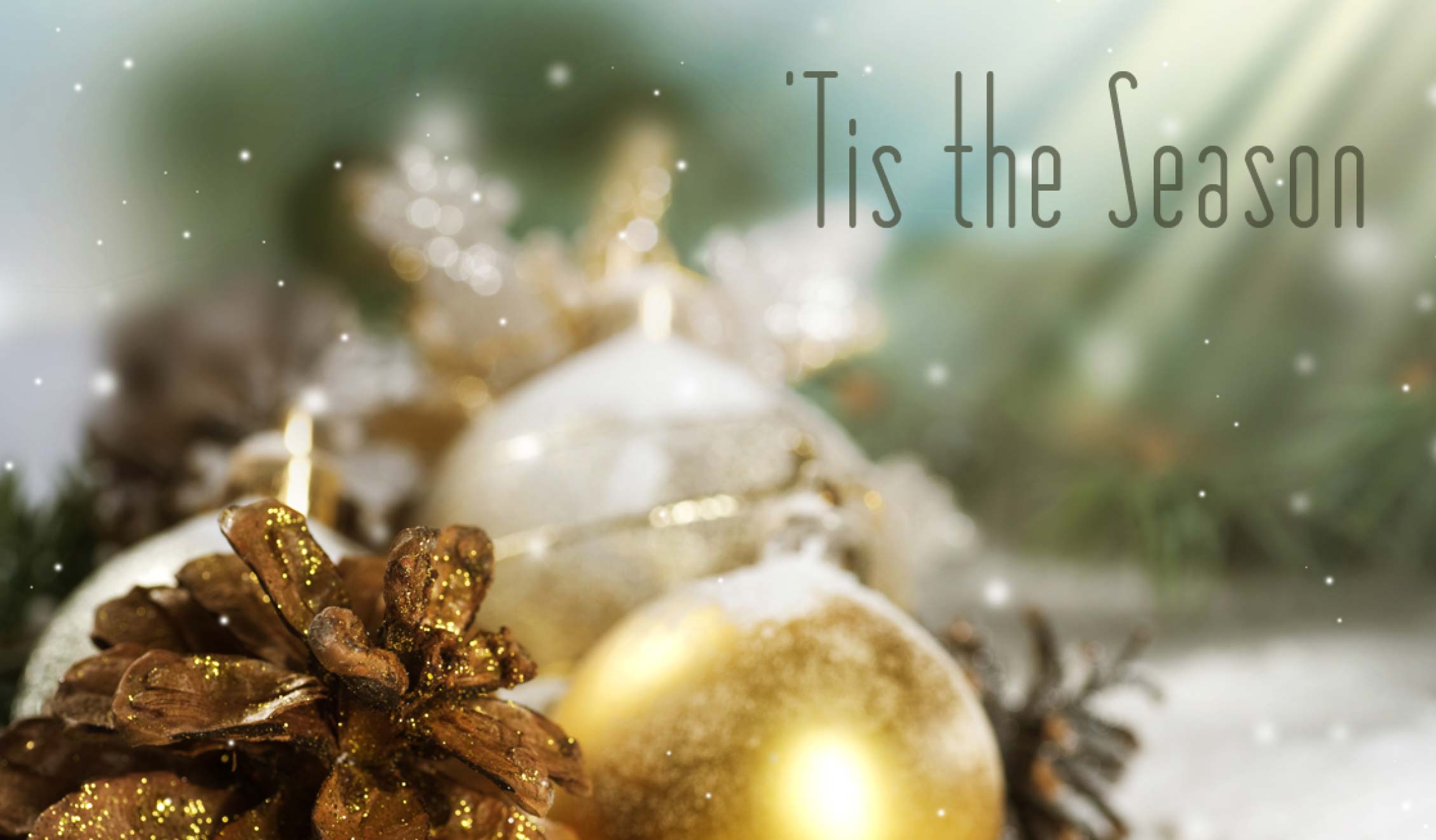 02b88efb-726e-43f1-9157-c7f1e7511fc6