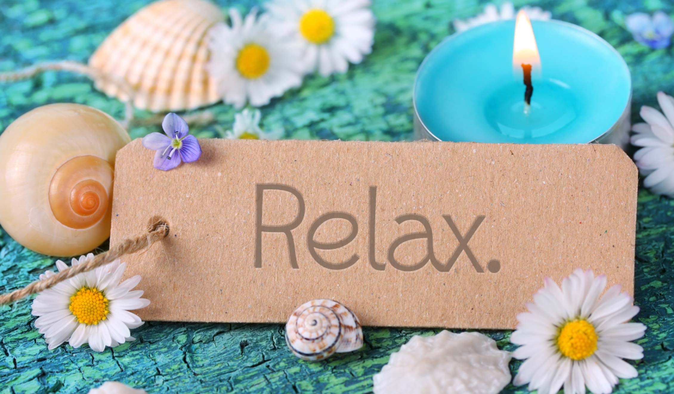 9faa8e67-83f1-4834-8004-ed71a4056ab6